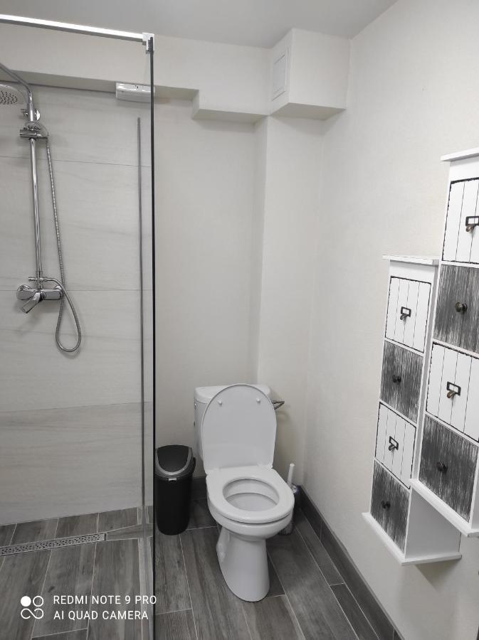Cozy Loft Apartament Sighetu Marmaţiei 外观 照片