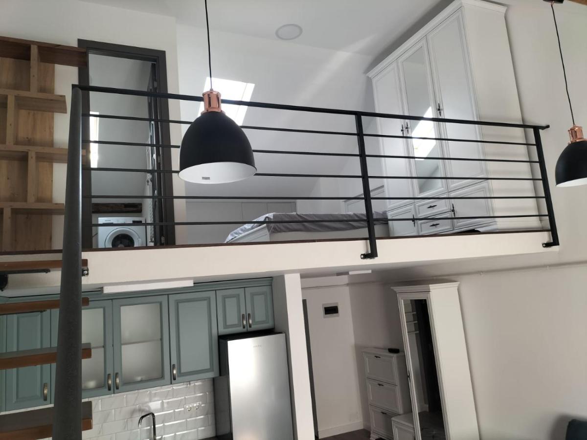 Cozy Loft Apartament Sighetu Marmaţiei 外观 照片
