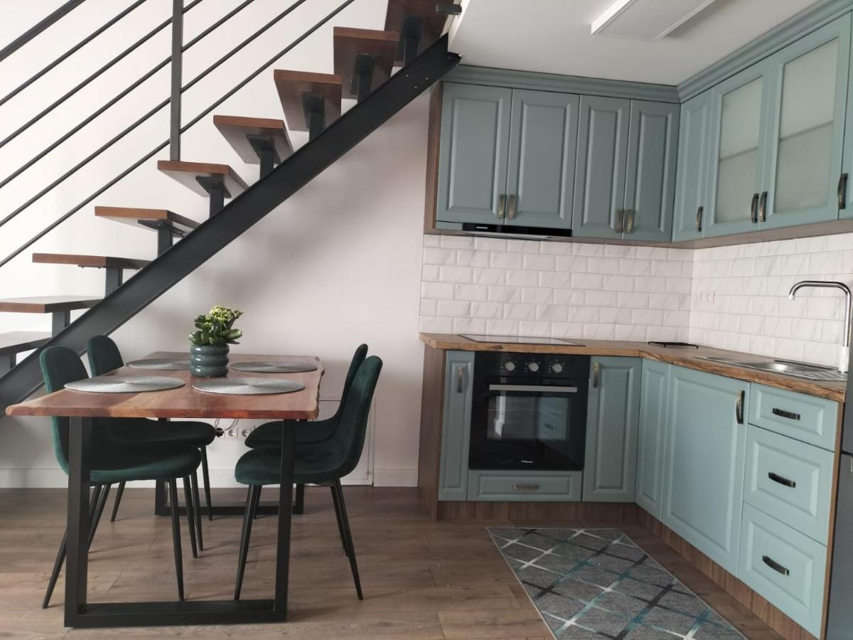 Cozy Loft Apartament Sighetu Marmaţiei 外观 照片