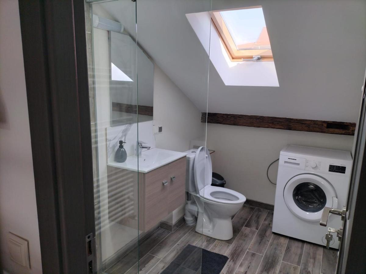 Cozy Loft Apartament Sighetu Marmaţiei 外观 照片